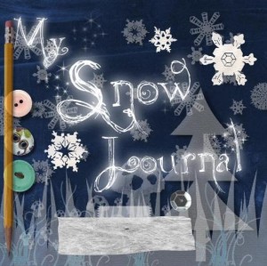 snow journal